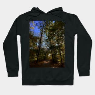 Beautiful Fall Wooded Trail Scene with a Pond - Indian Creek Trail Kansas City Hoodie